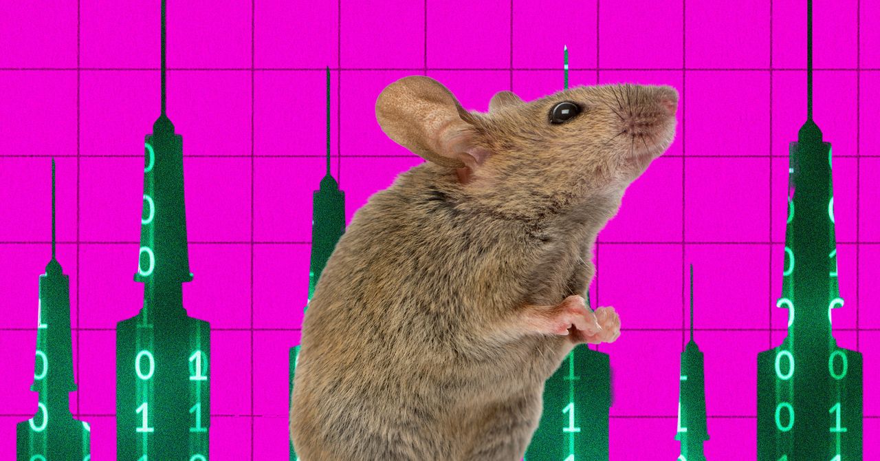 AI Agent Performed Brain Surgery on Live Mouse with Robotic Arm