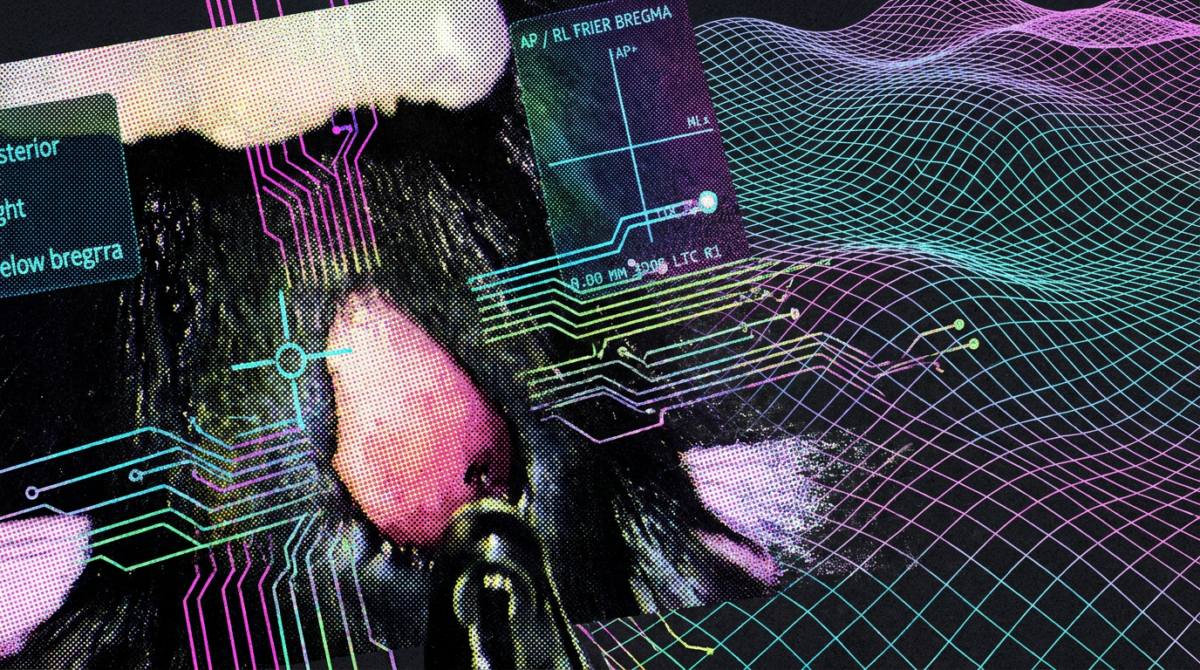 AI Agent Performed Brain Surgery on Mouse Without Human Input