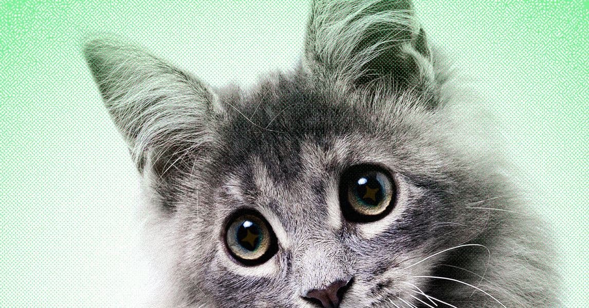 AI Slop Threatens Internet's Cute Animal Economy