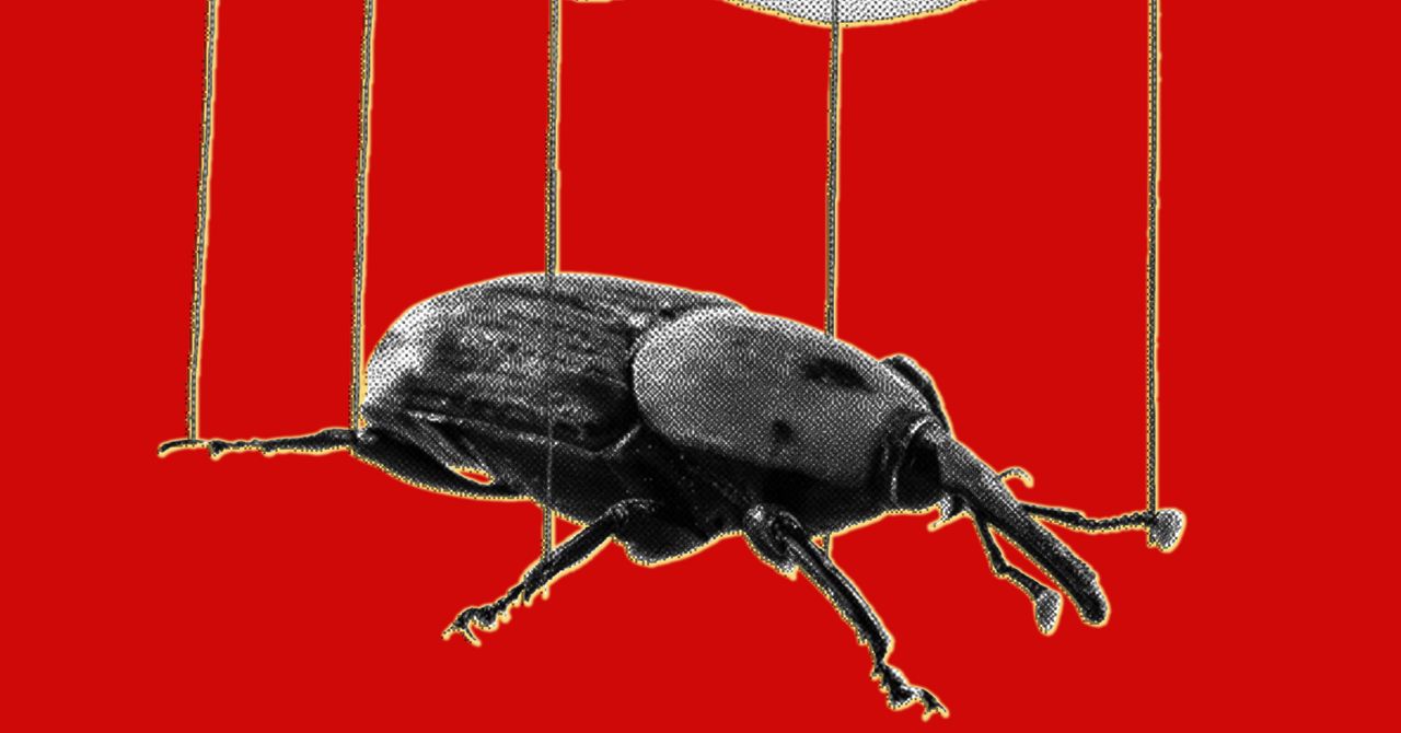 AI tools helped uncover PHP vulnerabilities exploited in the wild