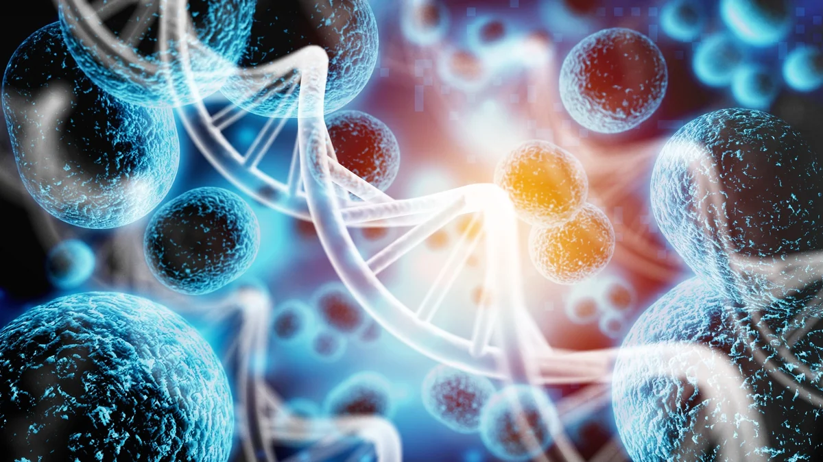 AMD Enhances MONAI Digital-Pathology Pipelines with hipCIM