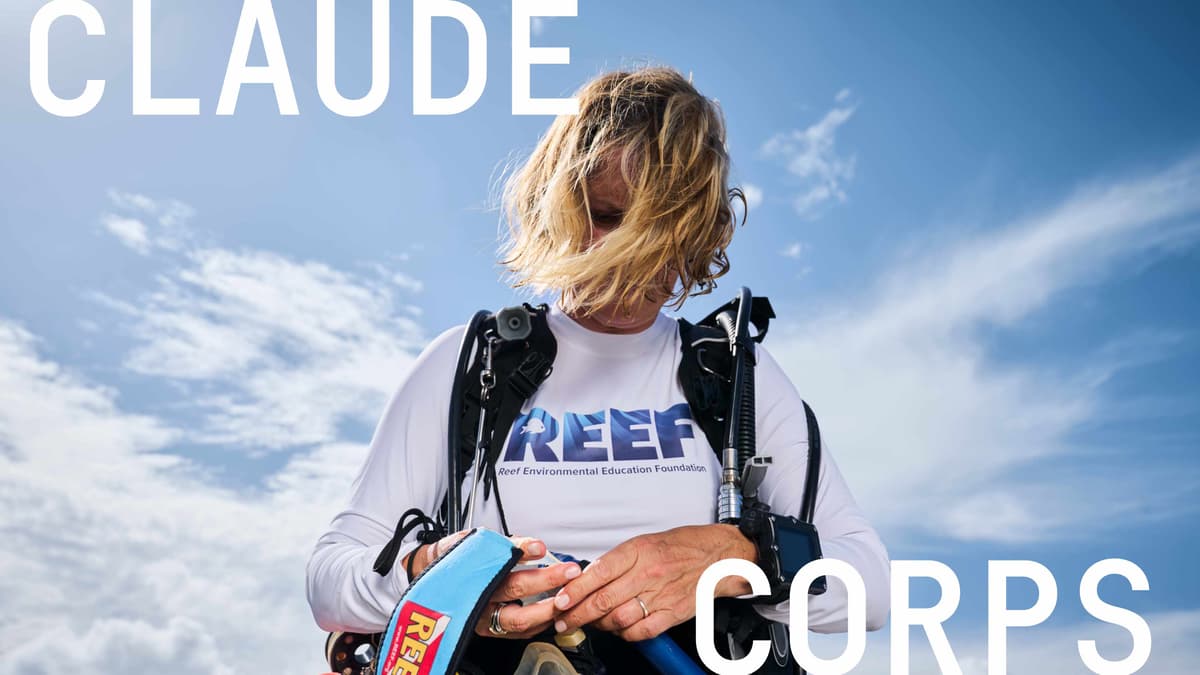 Anthropic Launches Claude Corps Fellowship Program