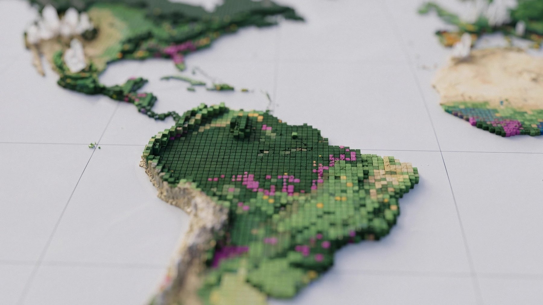 Google Deepmind Releases Global Forest Map Using AI and Satellite Data