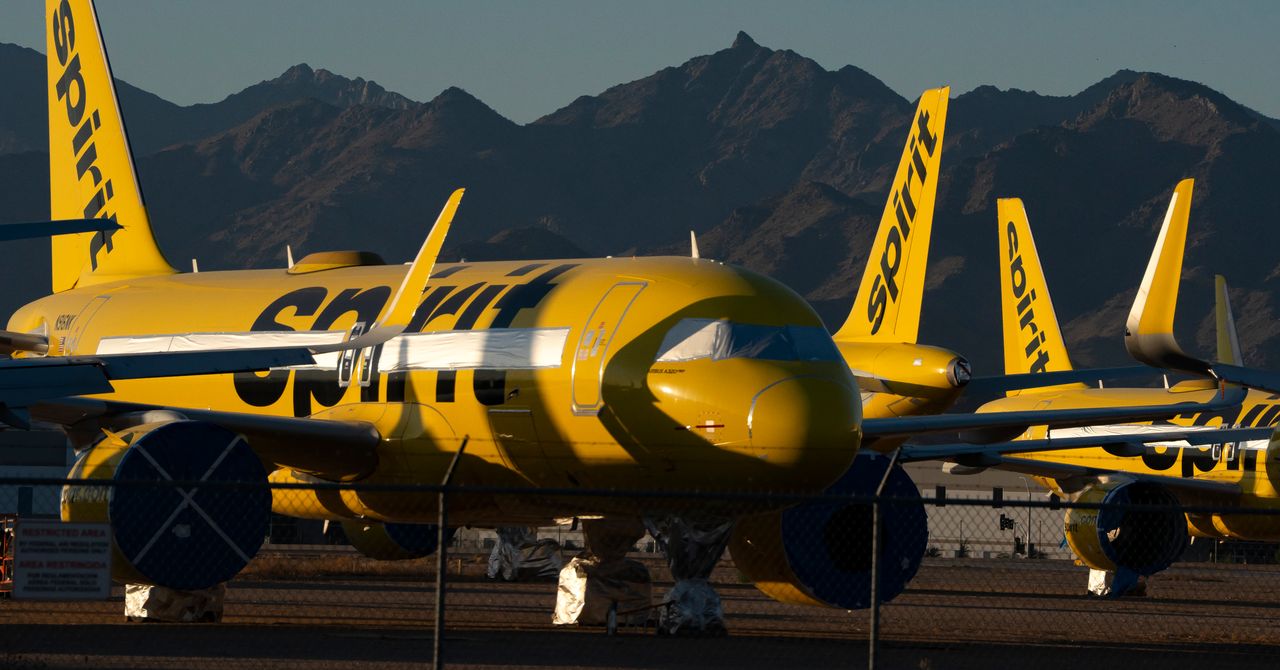 Google Wins $10 Million Bid for Spirit Airlines Data