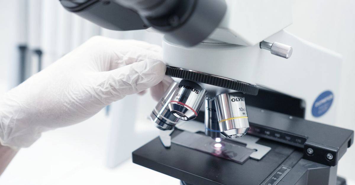 A detailed view of a microscope being used in a modern laboratory.