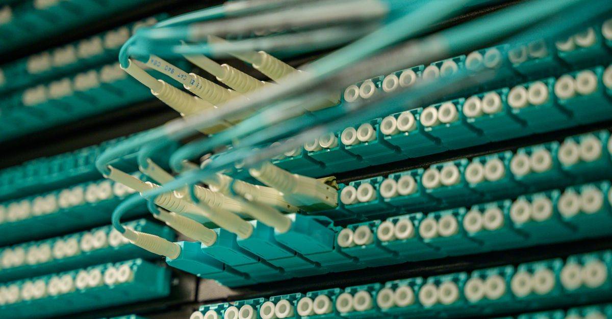 Detailed view of fiber optic cables connected to a server rack, showcasing modern technology.