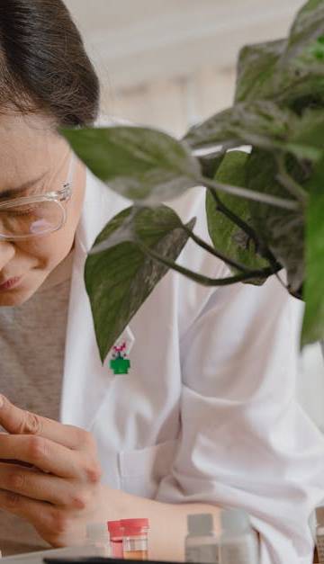 A scientist studies plant biology using a microscope in a lab setting.