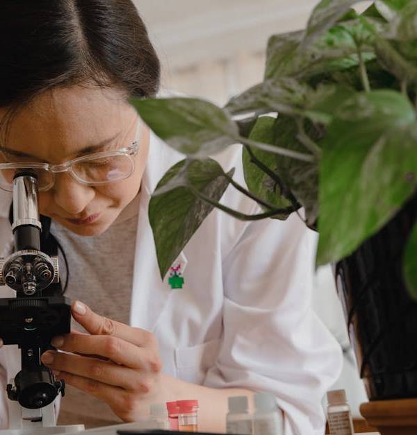 A scientist studies plant biology using a microscope in a lab setting.