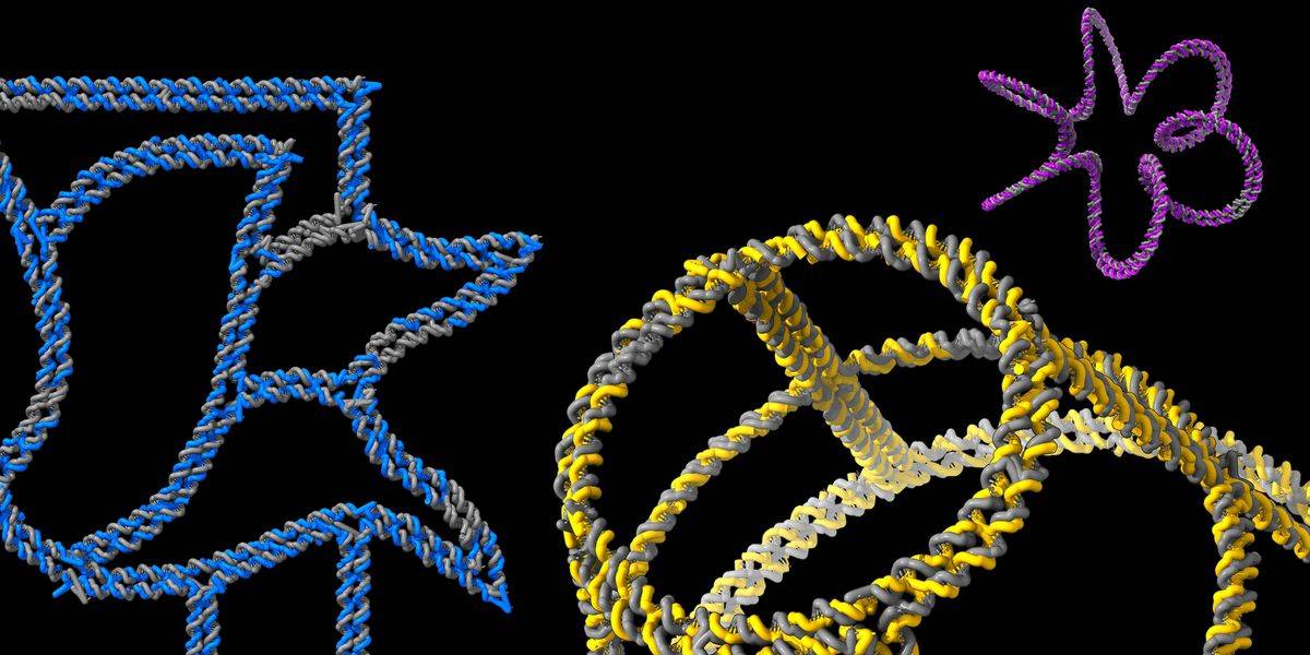 AI Model Designs DNA Origami for Any Shape
