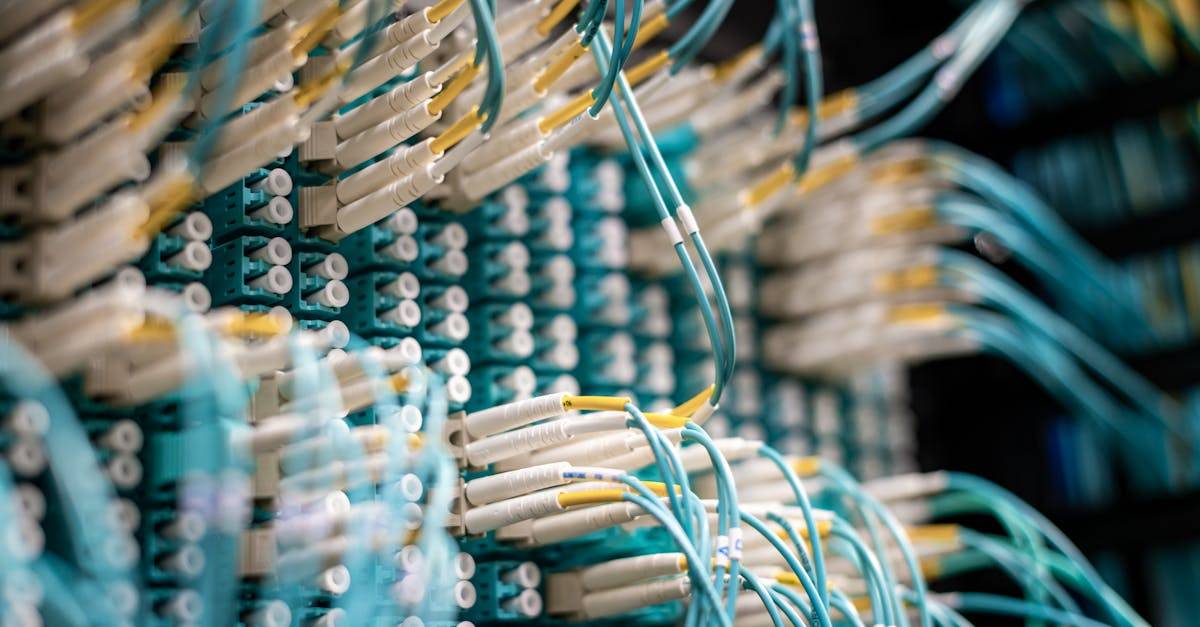 From below of fiber optic switch with sockets and connected rubber cables on blurred background