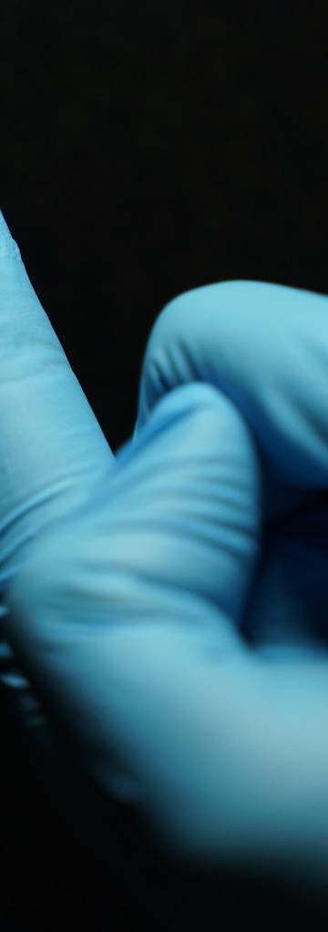 Optical spectrometer on a chip