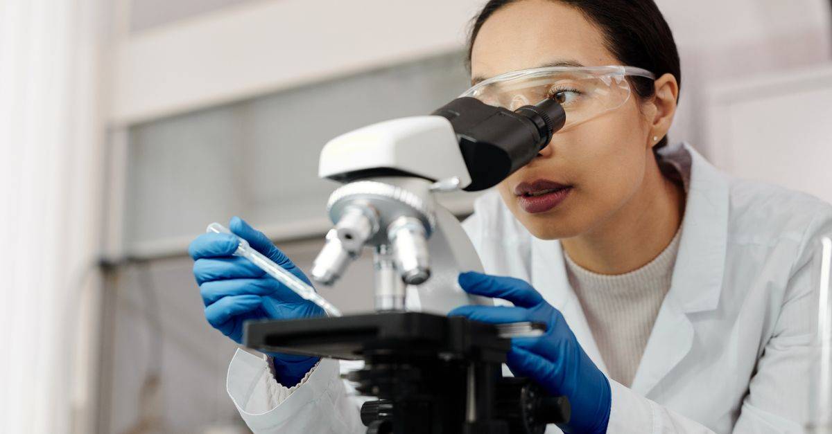 A female scientist examines samples using a microscope in a laboratory setting.
