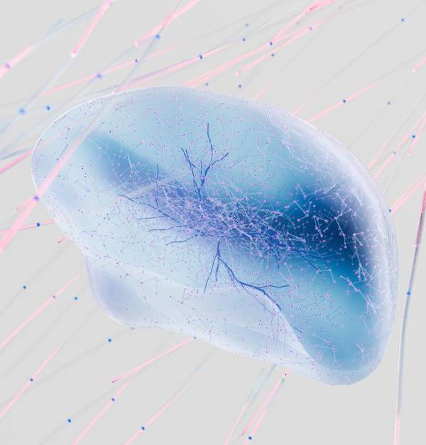A 3D rendering of a neural network with abstract neuron connections in soft colors.