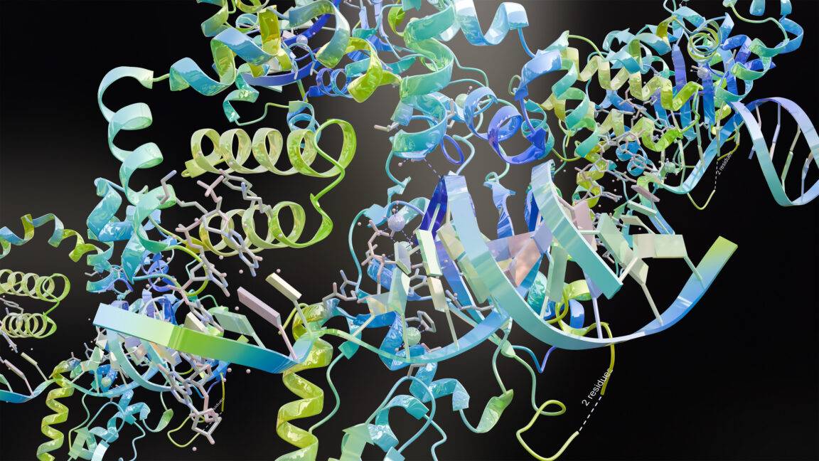 Google Introduces Protein Watermarking Tech