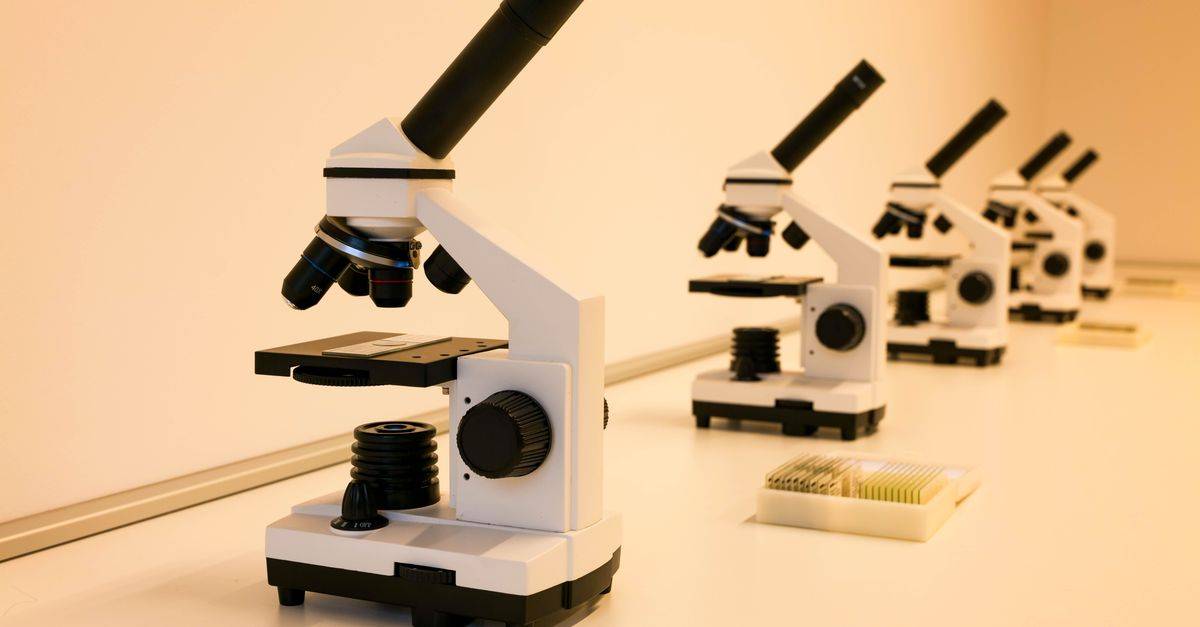 A series of microscopes on a lab table, ideal for scientific research and education.