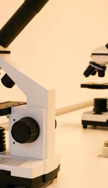 A series of microscopes on a lab table, ideal for scientific research and education.