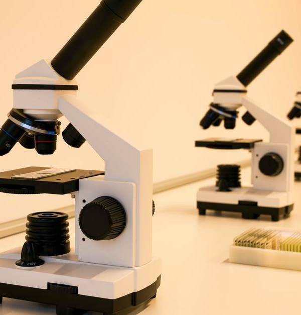 A series of microscopes on a lab table, ideal for scientific research and education.
