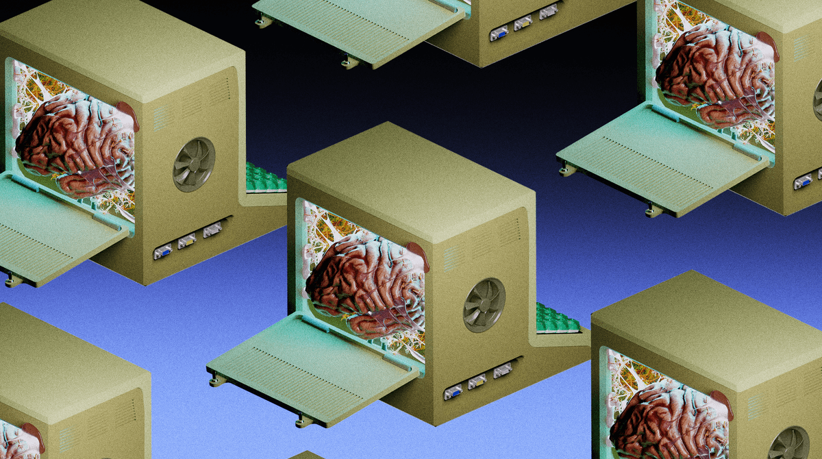 Human Brain Organoids Guide Robots and Play Video Games