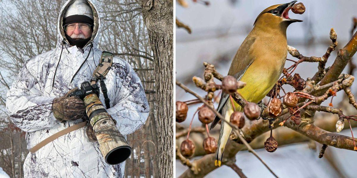 IEEE Spectrum Author Reflects on Waxwing Behavior