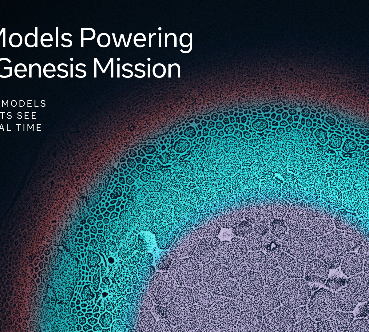 Meta's SAM 3 and DINOv3 Models Power Real-Time Scientific Imaging