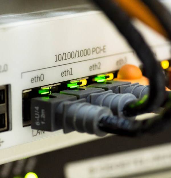 Detailed close-up of ethernet cables and network connections on a router, showcasing modern technology.