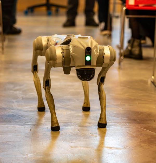 A robotic dog navigates an indoor setting amidst red chairs, showcasing technology in modern environments.