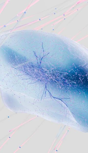 A 3D rendering of a neural network with abstract neuron connections in soft colors.