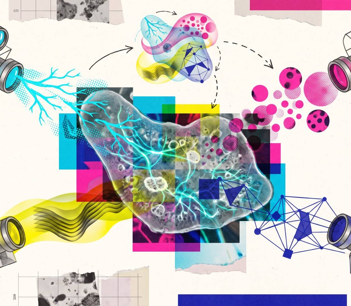 Researchers Expand LeCun's JEPA AI into Universal World Model