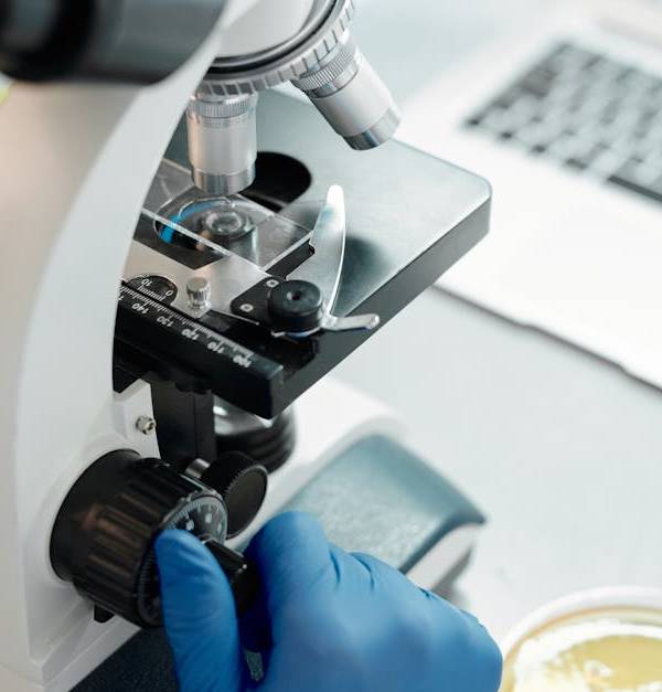 Researcher analyzing biological samples under a microscope in a laboratory.