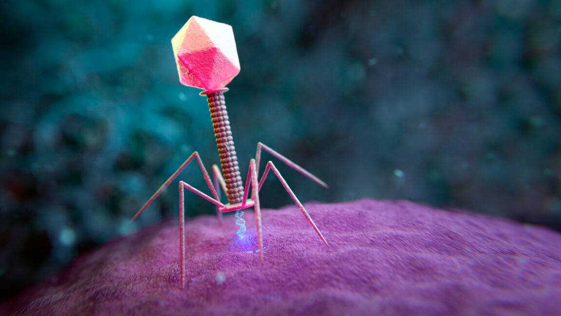 Stanford researchers use large genome models to design new viruses