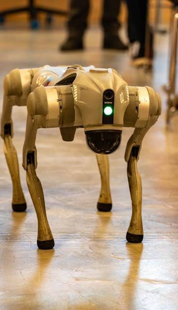 A robotic dog navigates an indoor setting amidst red chairs, showcasing technology in modern environments.