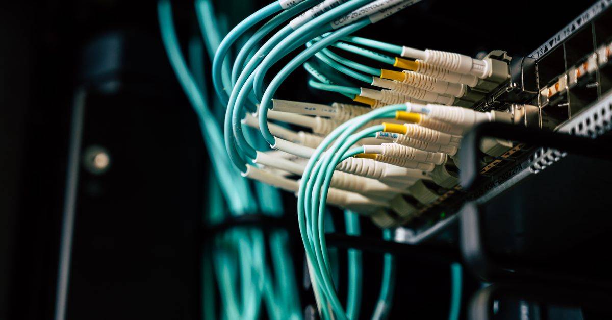 Detailed view of network cables plugged into a server rack in a data center.