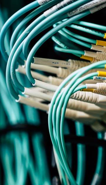 Detailed view of network cables plugged into a server rack in a data center.